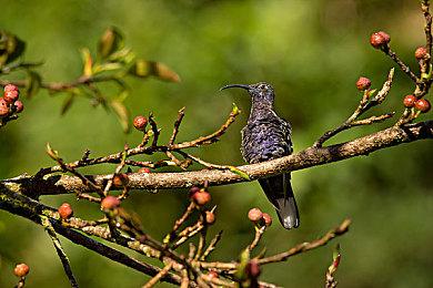 《侏罗纪世界：进化2》已售出近百万份